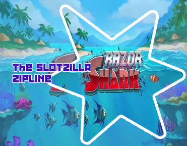 Shark slot game